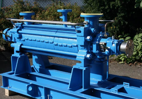 Ring section pumps